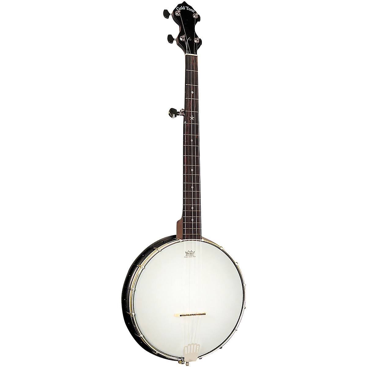 Travel-Scale Banjo C510